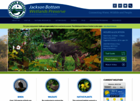 Jacksonbottom.org