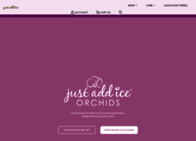 justaddiceorchids.com