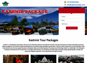 kashmir-holidays.com