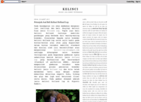 kelinci-ras.blogspot.com