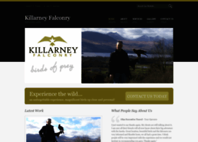 Killarneyfalconry.com