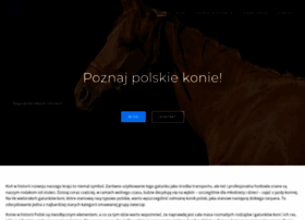 konie-pegasus.pl
