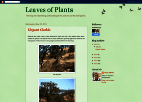 Leavesofplants.blogspot.com
