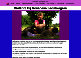 leonbergerpups.nl