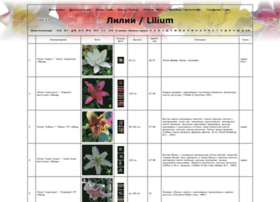 lilium-catalog.narod.ru