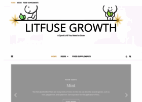 litfusegroup.com