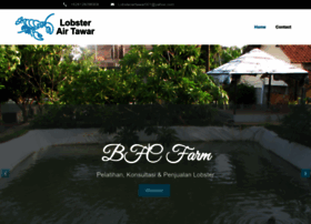 lobsterairtawar.com