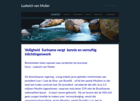 ludwichvanmulier.com