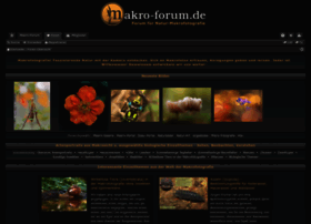 makro-forum.de