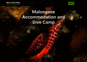 Malongane.com