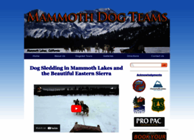 Mammothdogteams.com