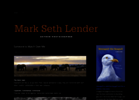 marksethlender.com