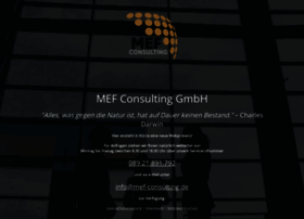 mef-consulting.de