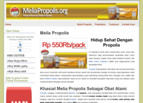 Meliapropolis.org