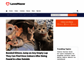 meowfamily.com