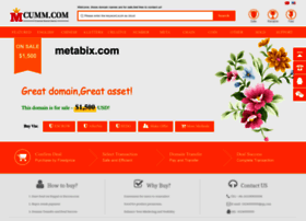 metabix.com