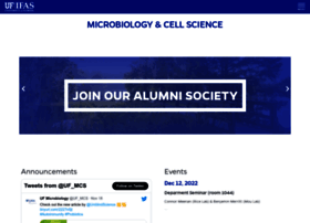 Microcell.ufl.edu
