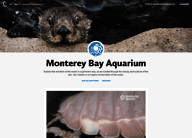 Montereybayaquarium.tumblr.com