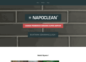 napoclean.com