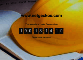 netgeckos.com