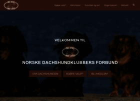 norskedachshundklubbersforbund.org