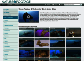 oceanfootage.com