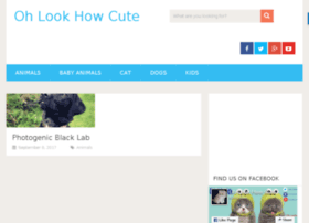Ohlookhowcute.com