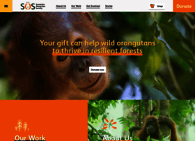 Orangutans-sos.org