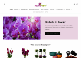 Orchid-tree.com