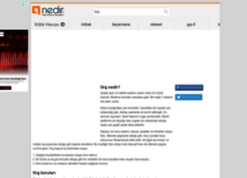 org.nedir.com