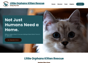 orphankittens.org