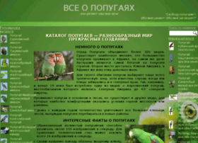 parrotsroom.com