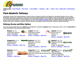 Pathway.gramene.org