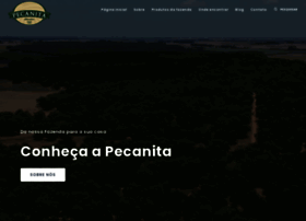 pecanita.com.br