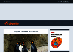 Penguins-world.com