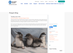 penguins.neaq.org