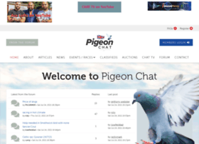 Pigeon-chat.co.uk