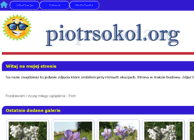 piotrsokol.org