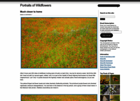 Portraitsofwildflowers.wordpress.com