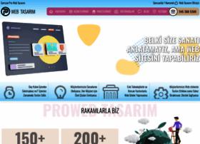 prowebtasarim.net