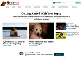 puppies.about.com