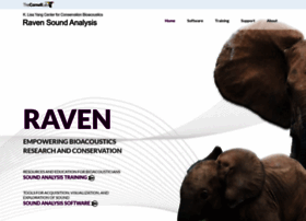 ravensoundsoftware.com