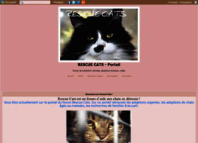rescue-cats.forumactif.com