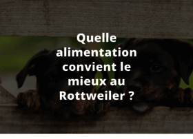 Rottweiler-halliwell.com