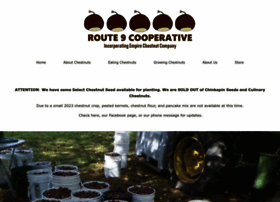 Route9cooperative.com
