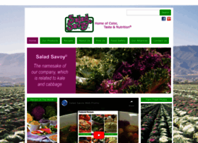 Saladsavoy.com