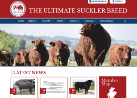 Salers-cattle-society.co.uk