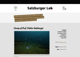 Salzburgerlab.org