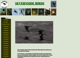 Severnsidebirds.co.uk