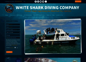 sharkcagediving.co.za